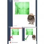 Owl pics? Here's how Tumblr censor bots are being fooled