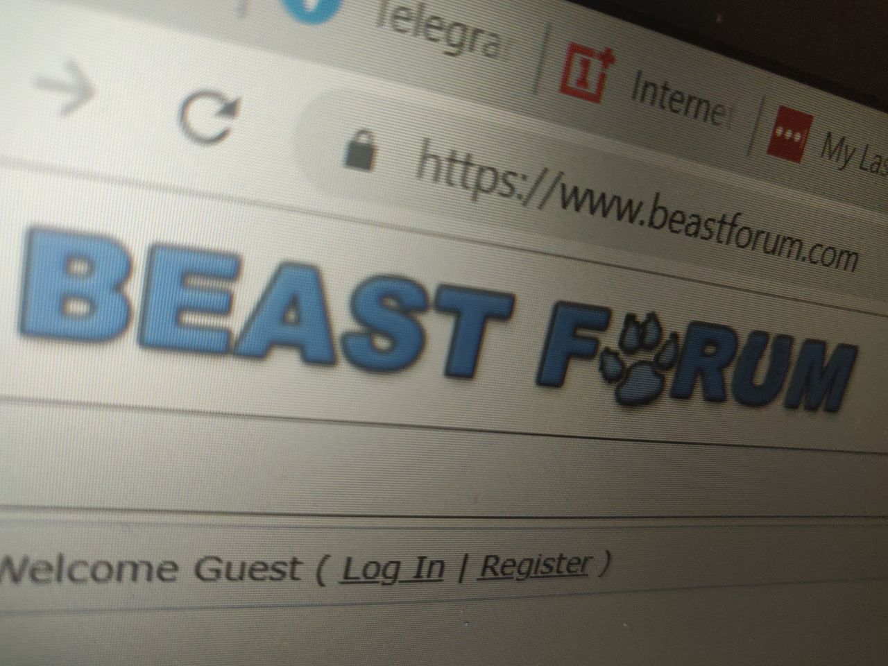 BeastForum, world's premier bestiality website, is shutting down (Gaybeast  and other associated sites too) - PiunikaWeb