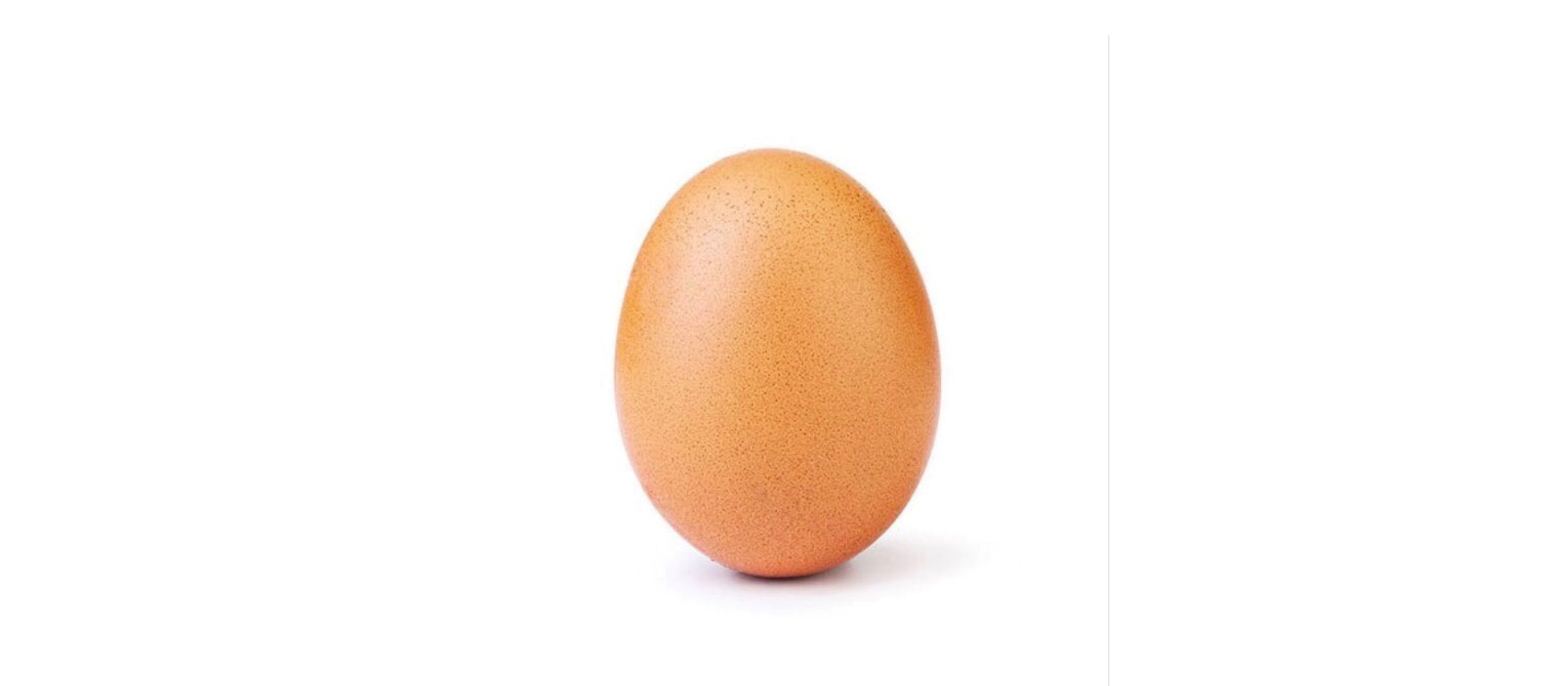 After Instagram, an egg now wants to conquer Twitter as well