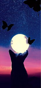 GalaxyS10-punchhole-cutput-thefox-the-moon-and-the-butterfly-wallpaper