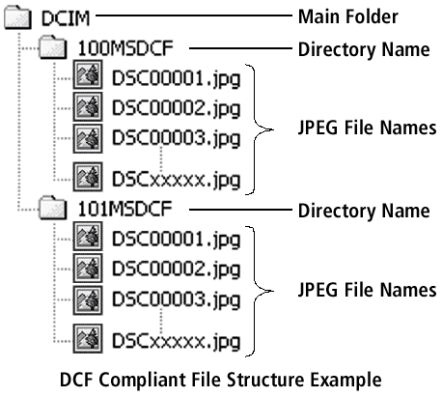 dcf_dcim_file_structure