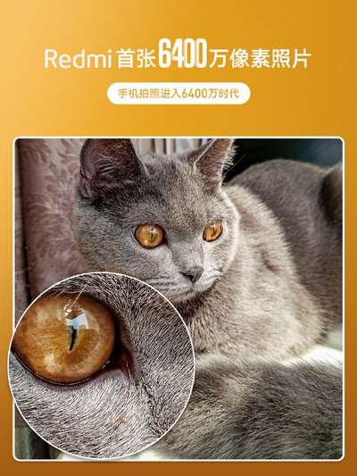 redmi_64_mp_sample_cat