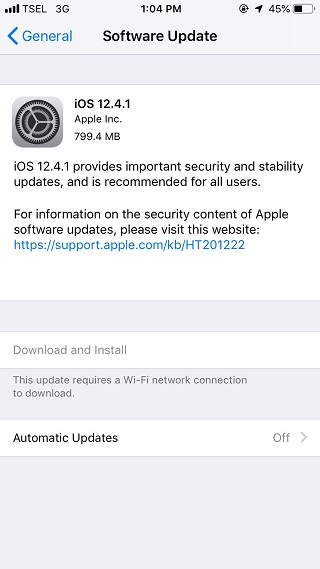 iOS12.4.1