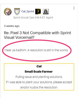 google pixel 3 sprint visual voicemail issue