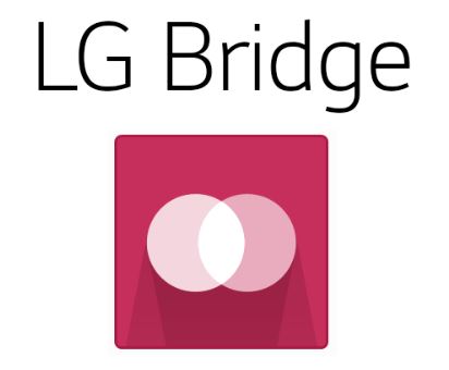 lg-bridge-logo
