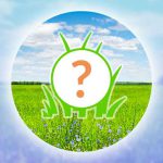 Pokemon Go : Mystery Bonus Hour & Spotlight Hour for April 14 & 1 Pokecoin bundle temporarily removed