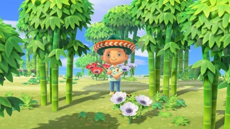 Animal Crossing New Horizons 1.2.0 update patch notes - Rage Garden Shop, Nature Day, New visitors & more