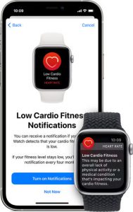 apple watch dimensions se