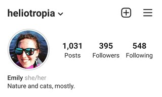 Here's how to add pronouns to Instagram bio/profile (video inside)