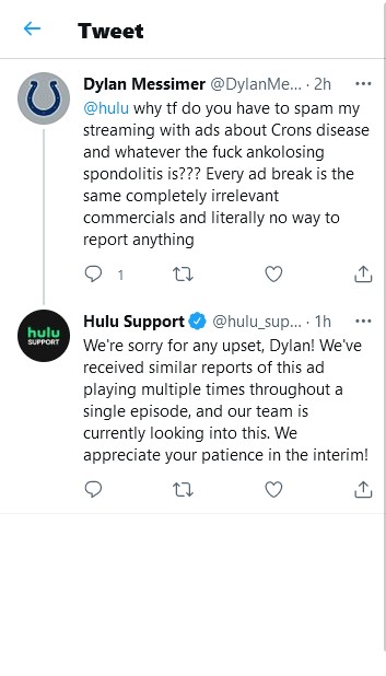 hulu support same ads