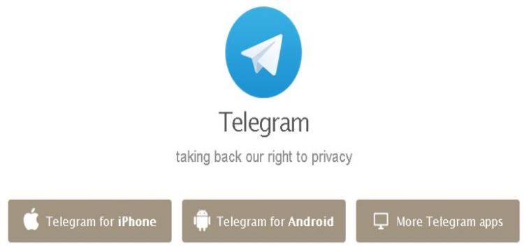 Telegram downloaded files not showing up in File Manager apps