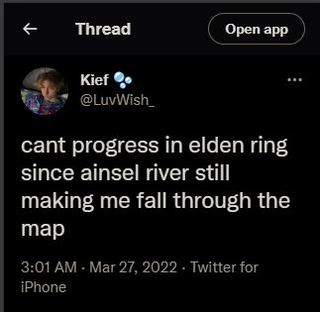 Elden-Ring-Ainsel-River-falling-through-the-ground