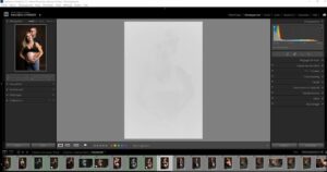 Adobe-Lightroom-Classic-gray-image-in-develop-module