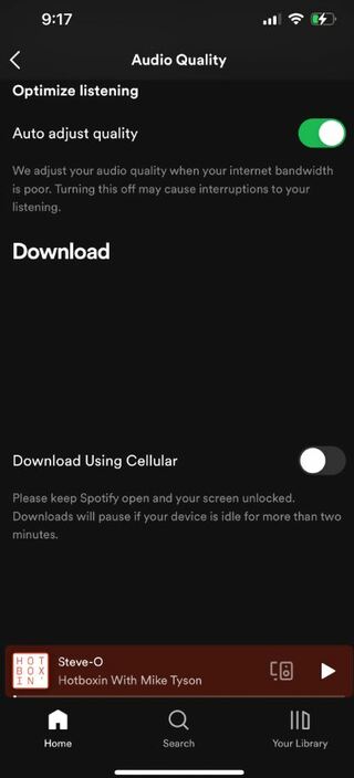 Spotify-download-missing-audio-quality-options