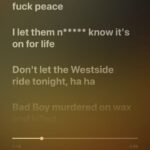 Apple-Music-lyrics-N-word-censored