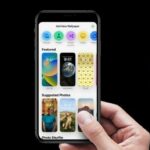 [Updated] iOS 16 update wallpapers missing light/dark versions & 'Dark appearance dims wallpaper' leaves users upset (workarounds inside)