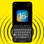 iOS 16 keyboard haptic response weak or not working? You're not alone (potential workarounds inside)