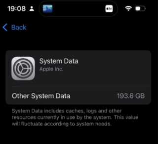 iPhone 14 system data quickly filling up storage