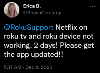 Roku TV Netflix not working