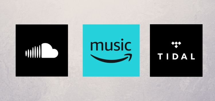 Soundcloud, Amazon Music & Tidal users also want Wrapped or Year in review feature like Spotify