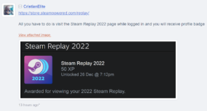 Steam-replay-2022