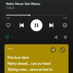 Spotify-lyrics