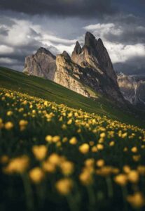 Summer-in-the-Dolomites