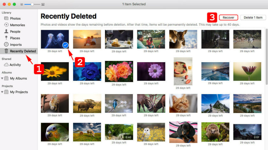 restore-permanently-deleted-phones-videos-on-mac-via-recently-deleted-folder
