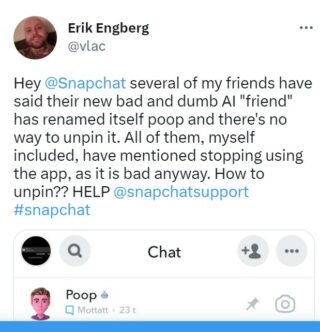 Snapchat-cannot-remove-ai-from-chat-issue-1