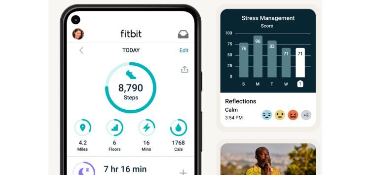 Fitbit users report missing ('step count unavailable' error) steps data from friends after migrating to Google accounts