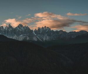 google-new-pixel-community-lens-wallpapers-10