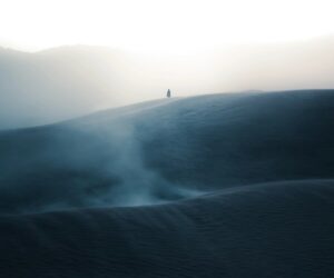google-new-pixel-community-lens-wallpapers-11