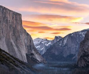 google-new-pixel-community-lens-wallpapers-3