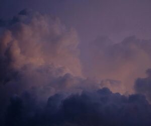 google-new-pixel-community-lens-wallpapers-4