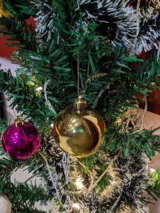 A-Christmas-tree-photo