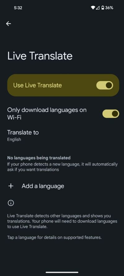 Enable-Live-Translate