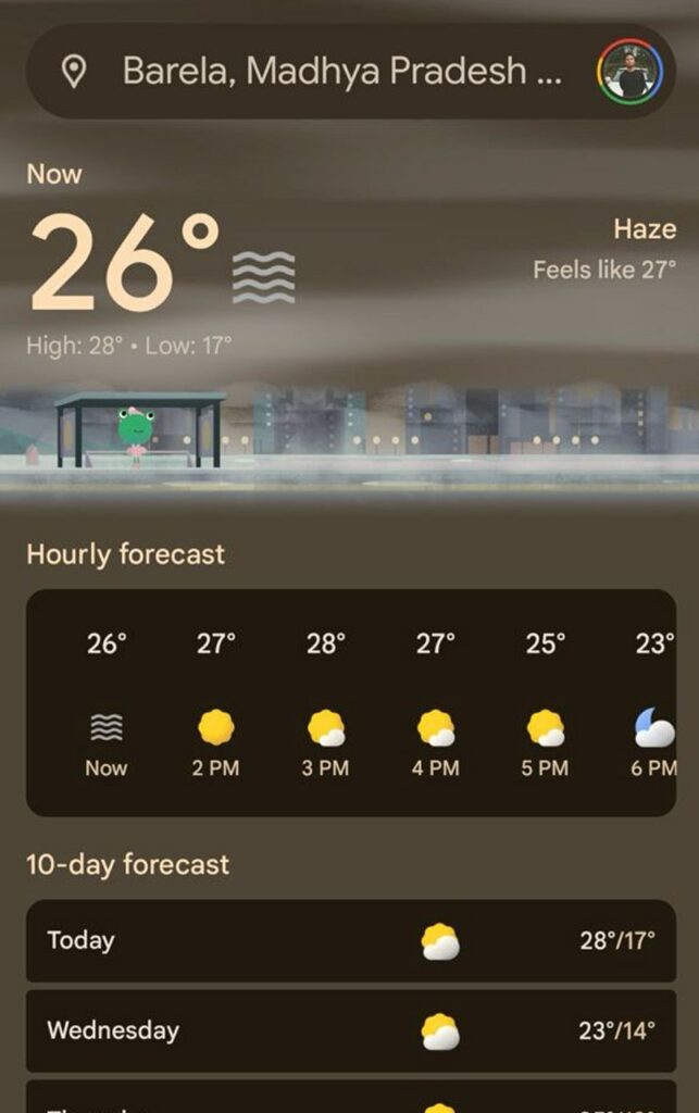 Tiny-froggy-in-new-weather-app-version