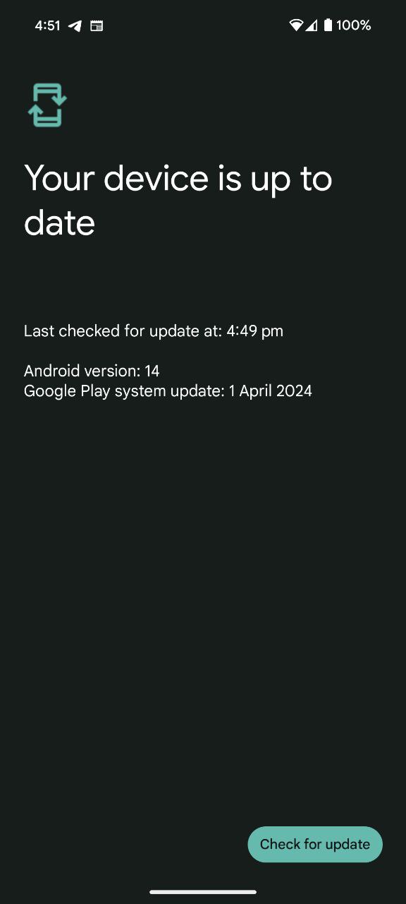 Pixel Phones Bag April 2024 Google Play System Update