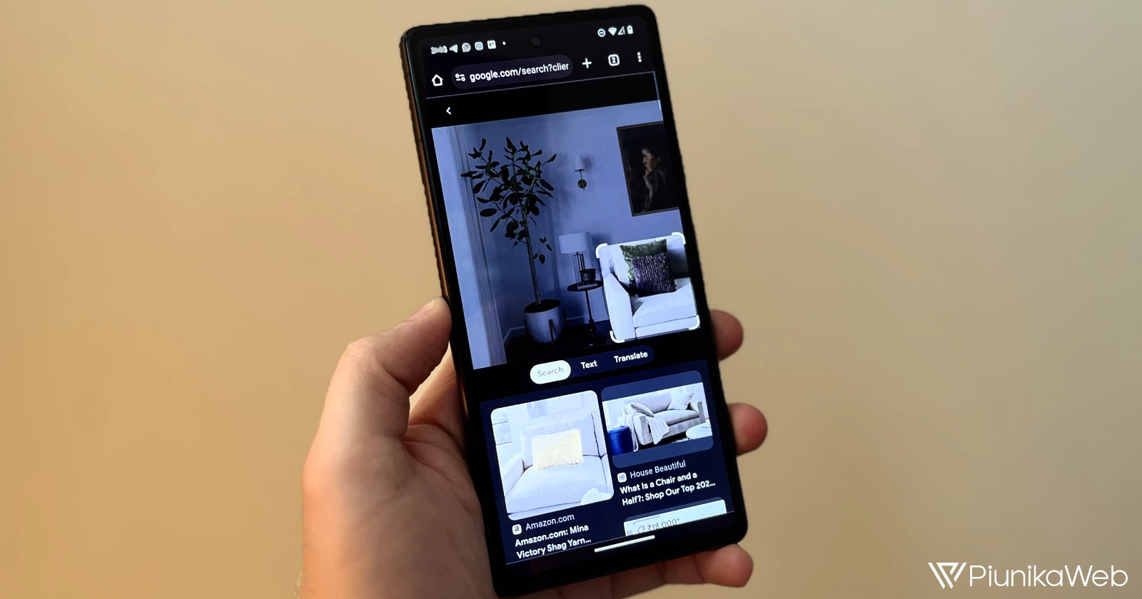 Google Search now mimics Pixel's object segmentation prowess in images