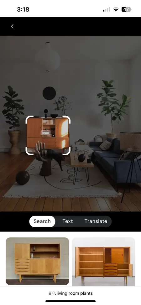 google-search-pixel-level-image-segmentation-2