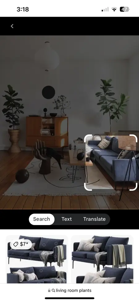 google-search-pixel-level-image-segmentation