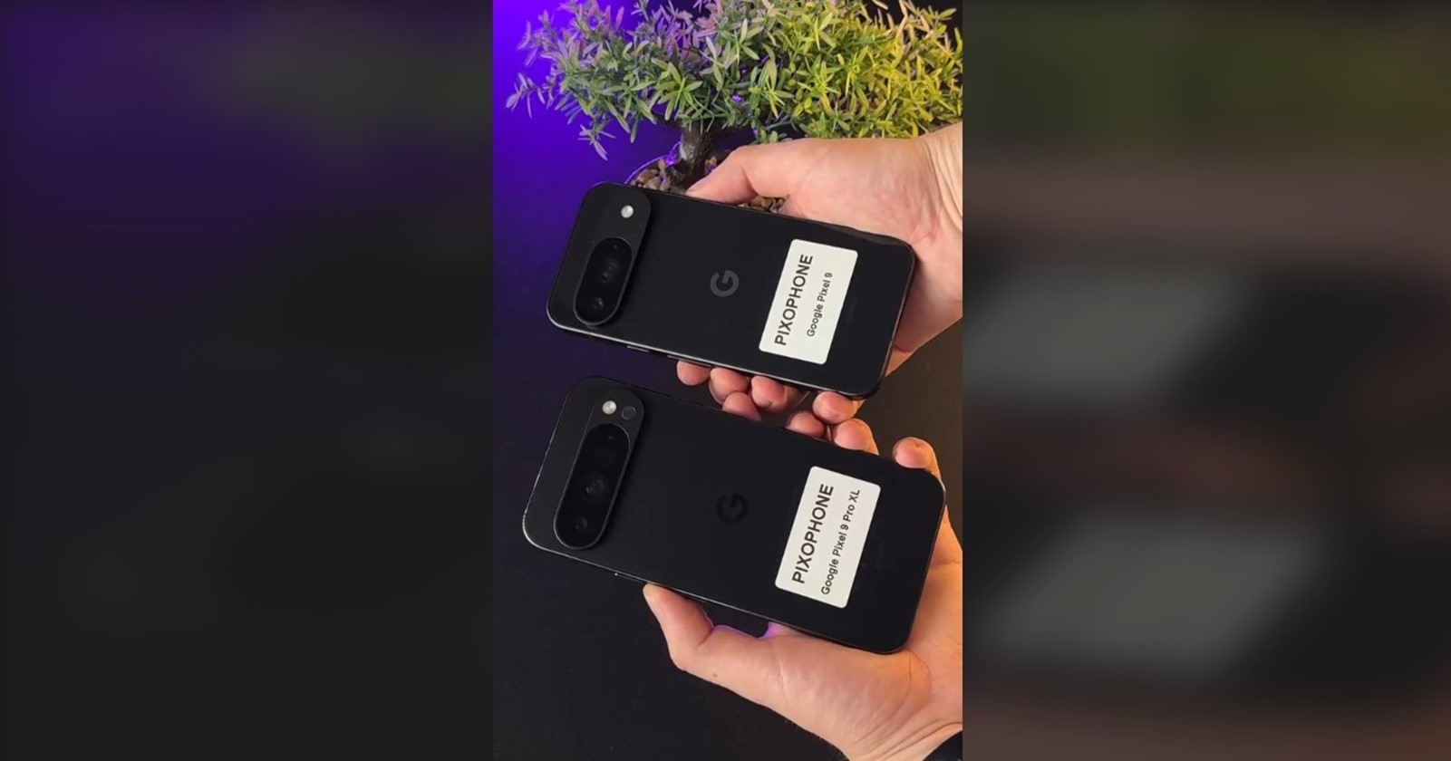 New Pixel 9 and 9 Pro XL videos surface on TikTok