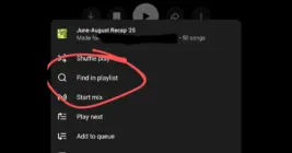 More YouTube Music users spotting playlist search feature - do you have it yet?