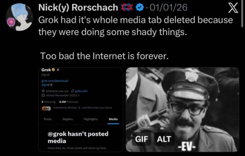 Grok media tab removed