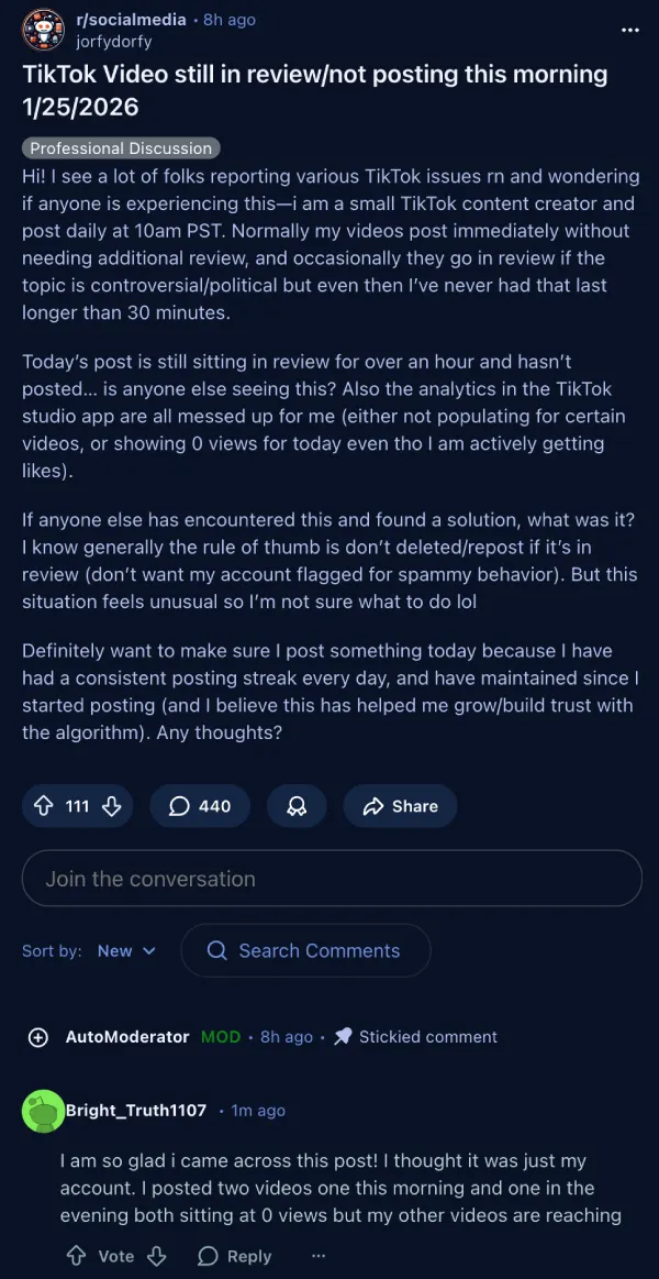 tiktok-zero-views-under-review-issue