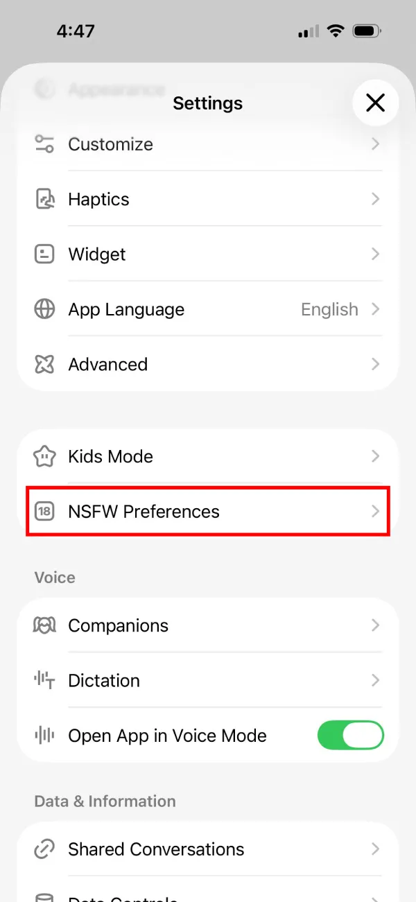 grok-nsfw-preferences-settings-ios