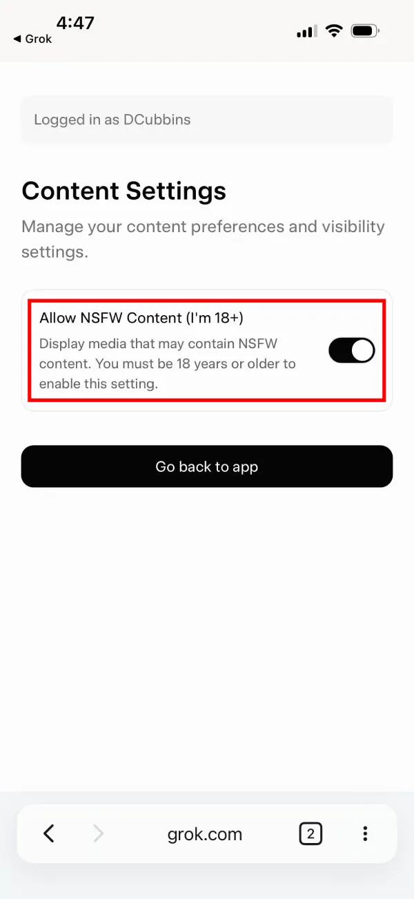 Grok's NSFW settings option appears to have been removed