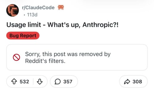Anthropic usage limit bug