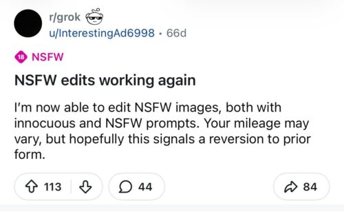 Grok nsfw edits working again