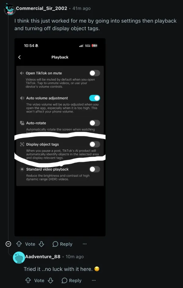 tiktok-ai-overview-disable-workaround
